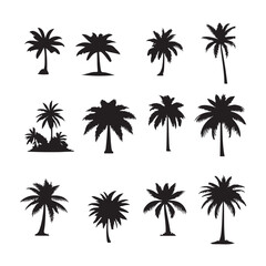 Wall Mural - set of palm trees, Isolated palm on the white background. Palm silhouettes.	