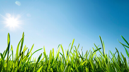 Green grass and blue sky with sun. Spring nature background with copy space. AI.