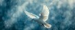 The Symbolic Dove: Representing the Powerful and Transformative Energy of the Holy Spirit. Concept Religious Symbolism, Holy Spirit, Dove, Transformation, Spiritual Energy