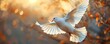 The Powerful Symbolism of a Dove representing the Holy Spirit's transformative energy. Concept Symbols, Dove, Holy Spirit, Transformation, Energy