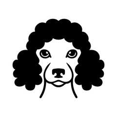 Wall Mural - Poodle dog vector icon