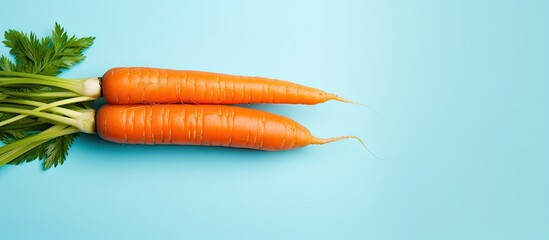 Fototapete - Vibrant Carrots on Blue Background - Fresh Organic Produce Concept with Copy Space
