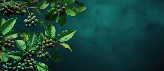 Leinwandbilder - Lush Allabica Coffee Plant with Vibrant Green Fruits in a Botanical Garden