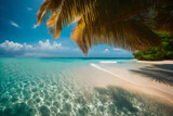Fototapeta  - Paesaggio. In riva al mare spiaggia esotica, tropicale con palme. Viaggi e turismo al sole.