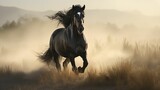 Fototapeta Przestrzenne - Image of a black horse galloping through a misty meadow.