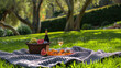 A wicker picnic basket with fresh fruits, a bottle of champagne, and a glass poured out, set upon a cozy blanket on sun-dappled grass