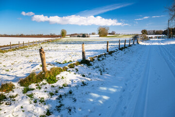 Wall Mural - Paysage d'hiver. Route de campagne enneigée avec verglas à travers prairies et champs