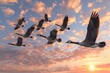 The Graceful Formation of Migrating Geese