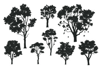 Wall Mural - Isolated tree silhouettes. Black drawing of forest plants. Park scene elements. Graphic arts for natural landscape background. Garden design elements