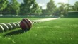 A sleek cricket ball lying on the lush green outfield of a cricket ground, surrounded by a boundary rope.