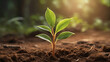 © TJ_Designs - A close-up view of a young plant, its tender stem and leaves growing in the warm, brownish soil, rendered with stunning detail and realism.