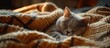 A British Shorthair cat peacefully sleeps on a soft blanket spread across a comfortable bed.