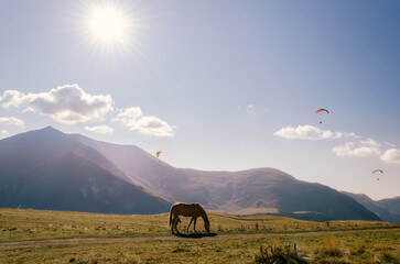 Sticker - horse by the mountain and skydivers in the sky in Georgia