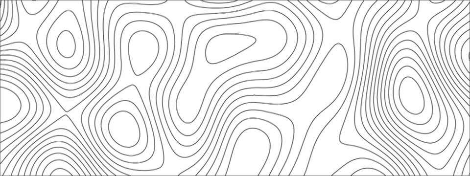 Title	
Abstract Topographic line art background. Mountain topographic terrain map background with white shape lines.Geographic map conceptual design.Black on white contour height lines.