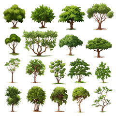 Wall Mural - set of trees