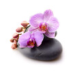 Spa massage stones with orchids flower on white backgrounds