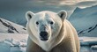 Polar Bear close up shot Cinematic Color grade