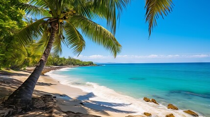 Idyllic Jamaican Beachscape: Turquoise Waters and Palm Trees, Shot with Canon RF 50mm f/1.2L USM