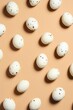 Bird's eggs on coloured background. Overhead view.