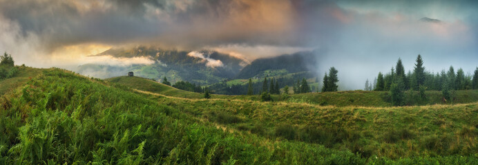 Wall Mural - Foggy morning in the mountains. Summer dawn in the Carpathians. Nature of Ukraine