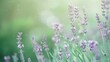 © furyon - Honeydew green and pastel lavender, light spring theme, fresh floral aroma, soft color harmony, gentle morning dew, peaceful garden ambiance, refreshing nature vibe