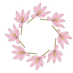 Wall Mural - A crocus wreath PNG transparent background in a clean hand-drawn spring floral concept, illustration