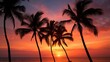 Tropical Serenity: Silhouetted Palm Trees Embracing Sunrise or Sunset, Canon RF 50mm f/1.2L USM Capture