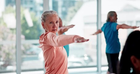 Wall Mural - Exercise, stretching and senior people in yoga class for fitness, training and cardio workout in gym. Sports, retirement and elderly men and women with equipment for wellness, pilates and health club