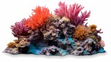 Fototapeta Do akwarium - Coral reef on white isolated background