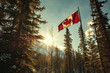 Canadian flag on a high pole among the forest against the backdrop of mountains and the sun. Generated by artificial intelligence