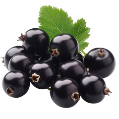 Wall Mural - Natural Black currant fruit on white background