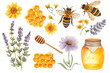 © Pickoloh - Set of yellow honey bee and honeycomb fields herbs flowers vector illustration