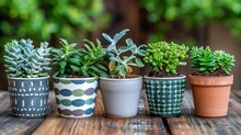  A Group Of Small Potted Plants Sitting On Top Of A Wooden Table In Front Of A Green Leafy Tree.