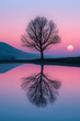 Landschaft mit einem Baum, der sich vor einem Himmel nach Sonnenuntergang abhebt und sich in einem ruhigen See spiegelt