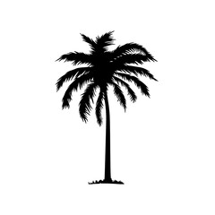 Palm tree icon. Black coconut silhouette palm isolated on white background. Coconuts palmtree for design summer prints. Palmetto trees. Abstract line beach logo. Shape hand draw. Vector illustration