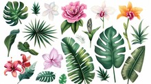 A Colorful Set Of Isolated Elements Illustration Includes Flowers Like Peony, Magnolia, Orchids, Lily, Tulip, Along With Tropical Leaves Such As Exotic Palm Leaves, Plants, And Green Foliage