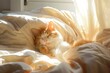 Sleepy kitten enjoying lazy morning in soft bed, illuminated by gentle sunbeams. Cute cat waking up, stretching paws, basking in golden light. Ideal for pet photography, animal welfare, veterinary cli