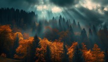 Colorful gloomy misty forest