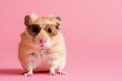 Stylish Sunglasses: Hamster Trendsetter, AI Generative
