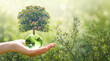 Earth Day or World Environment Day, environmentally friendly concept. Tree growing on crystal glass globe ball in hand on green background. Save planet and protect nature, sustainable lifestyle theme.