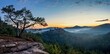© imageBROKER - Morning light on the Haferfelsen with a striking pine tree and a view of the ruins of Alt Dahn Castle in the Pflaelzer Forest, which lies in the ground fog