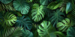 Tropical Leaves Background