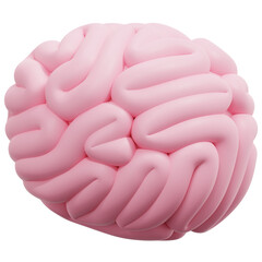 Canvas Print - brain 3d render icon illustration