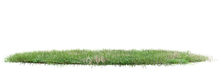 Wall Mural - Green grass on transparent background 3d rendering png