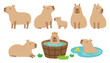 Cute capybara in various poses vector illustration set. Capybara in onsen water. Mom and baby capybara.