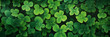A Vivid Close-Up of A Lucky Four-Leaf Clover Amidst the Lush Green Grass: An Epitome of Nature's Artistry and Serenity