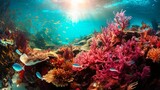 Fototapeta Do akwarium - 海とサンゴ礁、カラフルな熱帯の海中の風景