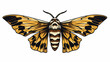 Iconic tattoo style image of a deaths head moth 