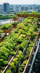 Wall Mural - A green vegetable garden, a rooftop garden in the City on a sunny Summer day. Harvest, Agriculture, Farming concepts.