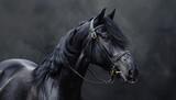 Fototapeta Konie - Black Beauty A Horse's Eye View of the World Generative AI